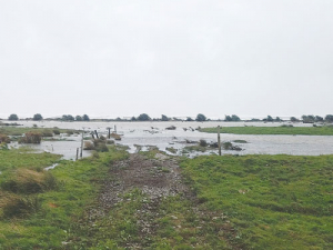 West Coast farmer Richard Reynold’s flooded farm.