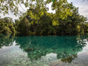 Water quality: not just an issue for farmers.