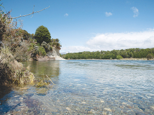 Dairy farmers are helping protect Aparima waterways in Southland. Photo Credit: Edwin Mabonga.