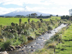 All existing Taranaki Regional Council riparian plan fencing can remain and will be accepted as compliant.