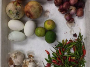 The undeclared food infested with fruit fly that was seized at Auckland Airport.