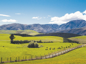 Farm sales rose once again in May 2021.