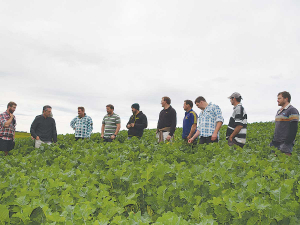 The Bruce District Action Group is transitioning to a self-funded group now that the Red Meat Profit Partnership has ended. Photo Credit: Joanne Cuttance.