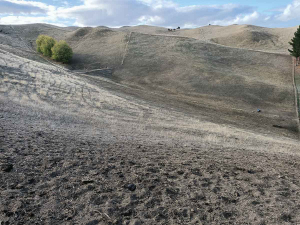 Hawkes Bay farmers are likely to encounter animal health and welfare issues soon as try to cope with the effects of what is believed to be the region’s worst ever drought.