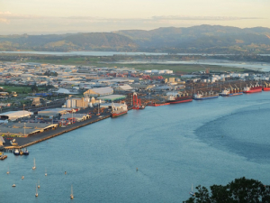 MPI has so far refused to name the importer that owns the cargo of palm kernel extract currently banned from entering the country via Tauranga Port.