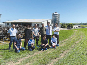 Visiting Japanese chefs on a Taranaki dairy farm last month.