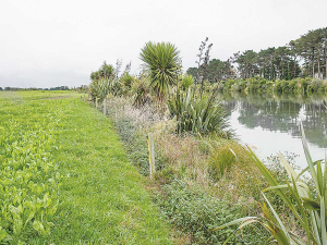 TRC says the ‘one-size-fits-all’ approach of the water reforms are a major fault.