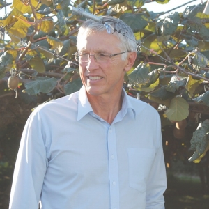 Kiwifruit industry must stay in NZ hands