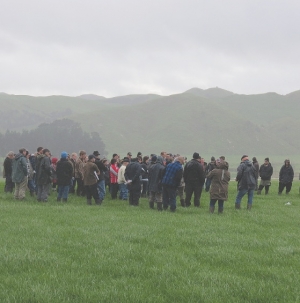 Handle early silage with care