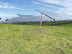 Solar panels on the farm in Taranaki where the trial is taking place.