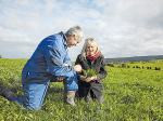 Southland farmers Ewen and Diane Mathieson believe careful planning is the key to mitigating potential risks of grazing livestock on fodder crops during the winter.