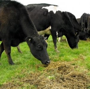 Feed facts cut through fallacy