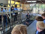•	Donald’s Farm manager Sam Waugh shows schoolchildren how a herringbone milking system works, inside the cowshed.