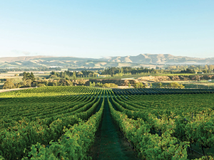 Changing Climate: A taste of the future