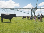 Pasture cover on Lincoln University’s dairy farm has taken a hit this winter.