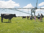 Weeks of frost takes toll on pasture cover