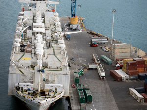 Live Animal Export Ban to Remain as Government Rules Out Reinstatement