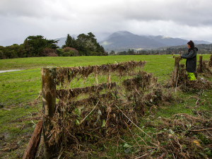 The debris left over from the Buller Floods that took place last week.