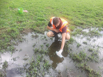 Waikato Regional Council say they made 21 environmental prosecutions in the last 12 months.