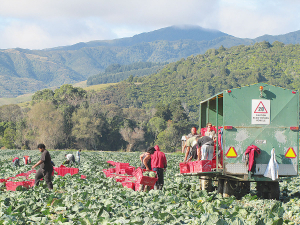 Ray Smith is urging the primary sector to remain vigilant and do the right things, so that when the season arrives they’ll be able to pick, pack and process products.