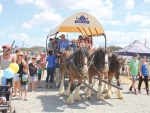 There will be plenty to see, do and experience at this year's Northland Field Days on March 3-5, at Dargaville.
