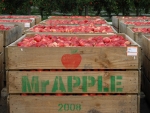 Mr Apple combats food fraud