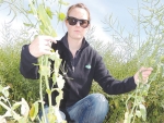 Homing in on oilseed options