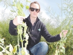 FAR’s Jen Linton demonstrates pgr effects on oilseed rape trials at the arable site, Chertsey, late last year. No significant difference was recorded.