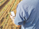 New tool aims to help growers better manage risks