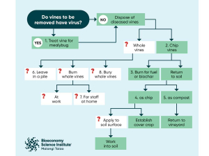 Options for consideration, with good hygiene in green alongside potentially problematic options in white