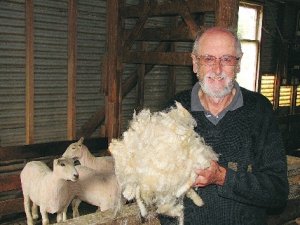 Shedding light on wool