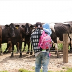 LUDF Farm Open Day 2013