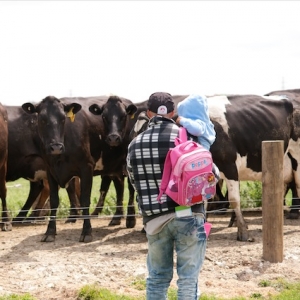 LUDF Farm Open Day 2013