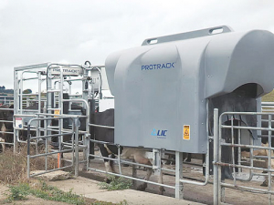 LIC Automation says EZ Heat will lift the reproductive performance of your herd.