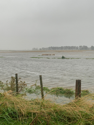 A flooded sheep farm at Ahuriri near Naiper