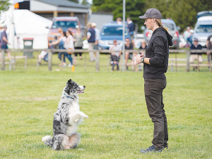 Chelsea Marriner with trick and agility dog Rum.