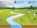 Overseer says its science models are driven by decades of dedicated research into New Zealand farming and conditions but is it fit for purpose?