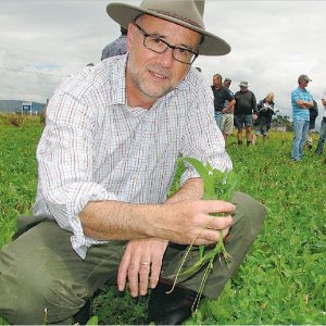 Pasture project progresses science  of tech transfer