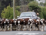 Rain great, but drought biting