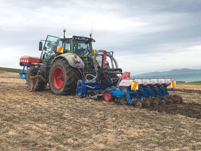 Thumbs up for strip tilling