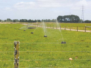 Effluent irrigation can cause trough water contamination.
