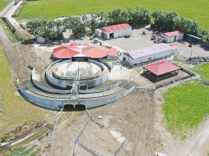 King Country farmer Shane Ardern’s twin rotary milking shed.