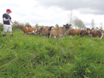 Grant Ridings on Jenerayations Farm, Kerepehi.