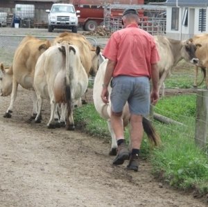  Retirement advice at Farmers Forum 