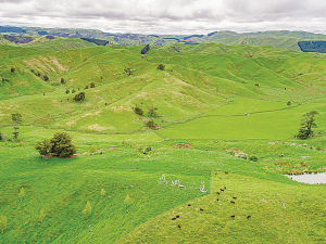 Real Estate Institute of New Zealand (REINZ) says it was mostly farmers snapping up finishing properties around the country.