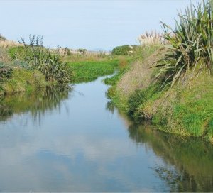 Forum challenges water myths