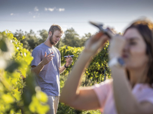 Croptide Launches AI Vineyard Assistant ‘alora’ in NZ