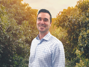 Export delays, weather and global supply pressure hit NZ avocado growers