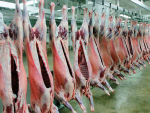 Sheepmeat, beef exports to top $4b