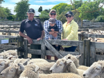 The Hansen family at the saleyards.